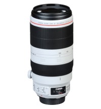 Canon EF 100-400mm f/4.5-5.6L IS II USM Lens
