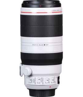 Canon EF 100-400mm f/4.5-5.6L IS II USM Lens