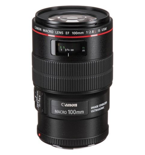 Canon EF 100mm f/2.8L Macro IS USM Lens