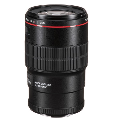 Canon EF 100mm f/2.8L Macro IS USM Lens