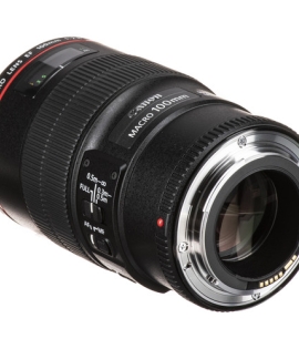 Canon EF 100mm f/2.8L Macro IS USM Lens