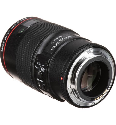 Canon EF 100mm f/2.8L Macro IS USM Lens