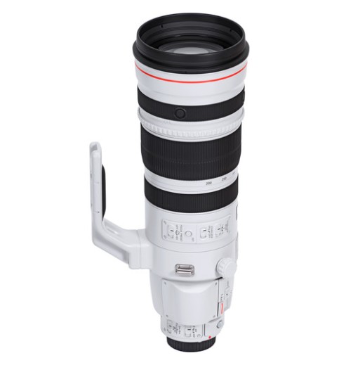 Canon EF 200-400mm f/4L IS USM Extender 1.4x Lens
