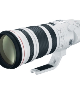 Canon EF 200-400mm f/4L IS USM Extender 1.4x Lens Canon EF 200-400mm f/4L IS USM Extender 1.4x Lens