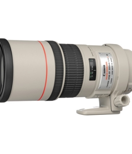 Canon EF 300mm f/4L IS USM Lens Canon EF 300mm f/4L IS USM Lens