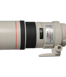 Canon EF 300mm f/4L IS USM Lens Canon EF 300mm f/4L IS USM Lens