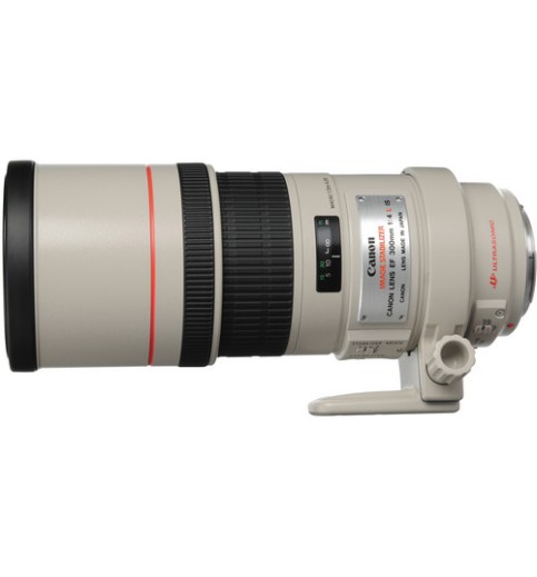 Canon EF 300mm f/4L IS USM Lens