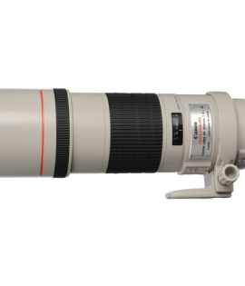 Canon EF 300mm f/4L IS USM Lens Canon EF 300mm f/4L IS USM Lens