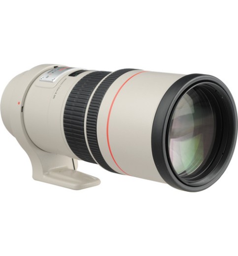 Canon EF 300mm f/4L IS USM Lens