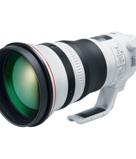 Canon EF 400mm f/2.8L IS III USM Lens