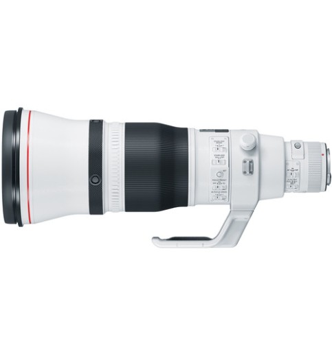 Canon EF 600mm f/4L IS III USM Lens