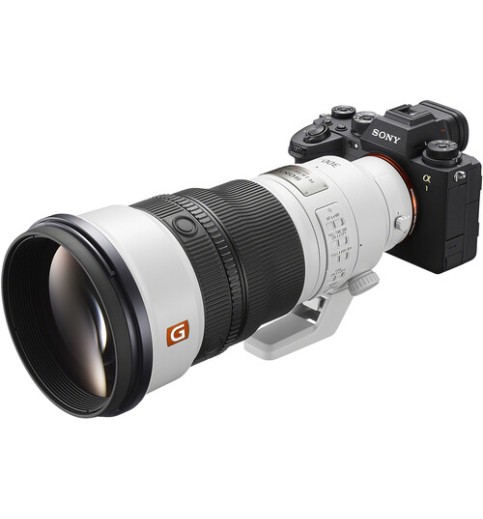 Sony FE 300mm f/2.8 GM OSS Lens (Sony E)