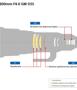 Sony FE 600mm f/4 GM OSS Lens