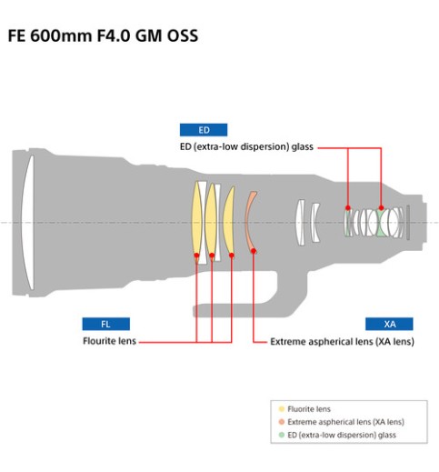 Sony FE 600mm f/4 GM OSS Lens