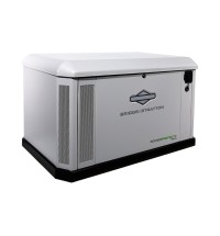 Briggs & Stratton PowerProtect+ 18kW Home Standby Generator