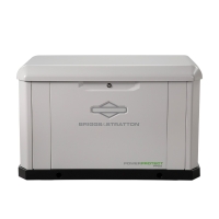 Briggs & Stratton PowerProtect 22kW Home Standby Generator