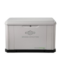 Briggs & Stratton PowerProtect 22kW Home Standby Generator