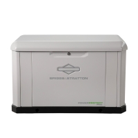 Briggs & Stratton PowerProtect 26kW Home Standby Generator