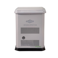 Briggs & Stratton PowerProtec DX 13kW Home Standby Generator