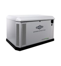 Briggs & Stratton PowerProtect+ DX 22kW Home Standby Generator