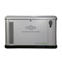 Briggs & Stratton PowerProtect+ DX 22kW Home Standby Generator