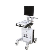Ge Vivid S5 Cardiovascular Ultrasound