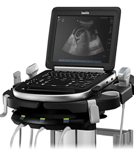 Sonosite Edge Portable Ultrasound Sonosite Edge Portable Ultrasound