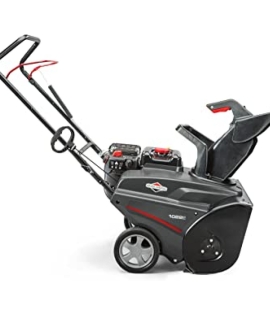 Briggs And Stratton 1022ER 22-in 208-cc Single-Stage with Auger Assistance Gas Snow Blower with Push-Button Electric Start Briggs And Stratton 1022ER 22-in 208-cc Single-Stage with Auger Assistance Gas Snow Blower with Push-Button Electric Start