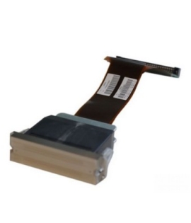 Ricoh Gen5 / 7PL Printhead (Two Color, Short Cable) - J36002 Ricoh Gen5 / 7PL Printhead (Two Color, Short Cable) - J36002
