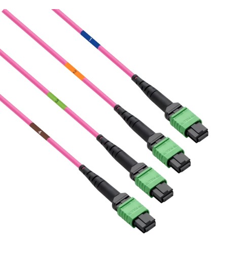 Pre-terminated MPO 4x4 Shuffle Trunk Cable, 32 Fibers, 4xMPO-8 APC (Female) to 4xMPO-8 APC (Female), Multimode (OM4), Type 4, LSZH, 0.35dB Max, Breakout 5m, Magenta Pre-terminated MPO 4x4 Shuffle Trunk Cable, 32 Fibers, 4xMPO-8 APC (Female) to 4xMPO-8 APC (Female), Multimode (OM4), Type 4, LSZH, 0.35dB Max, Breakout 5m, Magenta