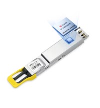 NVIDIA/Mellanox 1.6T 2xDR4｜MMS4A00-XM/MMS4C10-XM