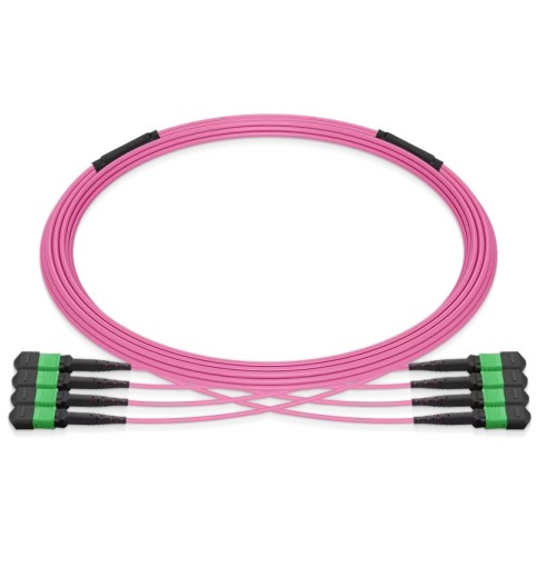Pre-terminated MPO 4x4 Shuffle Trunk Cable, 32 Fibers, 4xMPO-8 APC (Male) to 4xMPO-8 APC (Male), Multimode (OM4), Type 4, LSZH, 0.35dB Max, Breakout 80cm, Magenta