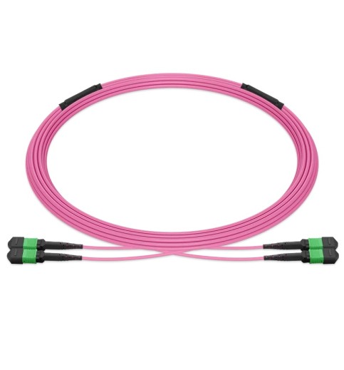 Pre-terminated MPO 2x2 Shuffle Trunk Cable, 16 Fibers, 2xMPO-8 APC Male to 2xMPO-8 APC Male, Multimode (OM4), Type 2, LSZH, 0.35dB Max, Breakout 80cm, Magenta