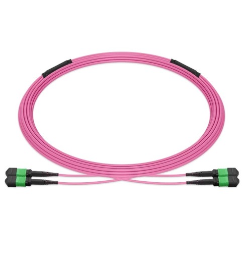 Pre-terminated MPO 2x2 Shuffle Trunk Cable, 16 Fibers, 2xMPO-8 APC Male to 2xMPO-8 APC Male, Multimode (OM4), Type 2, OFNP, 0.35dB Max, Breakout 80cm, Magenta